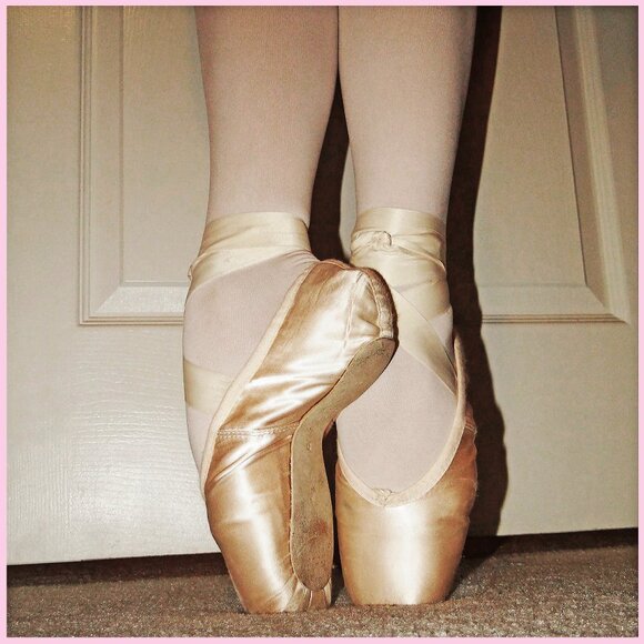 MEET THE POSHERS - THE WILDFLOWERS - Picture 1 of 8